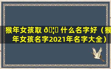 猴年女孩取 🦍 什么名字好（猴年女孩名字2021年名字大全）